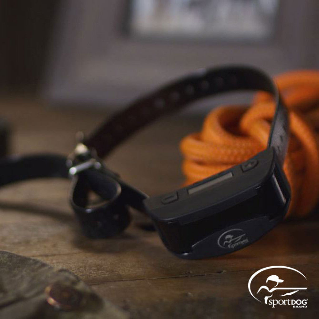 No bark collar displayed on table