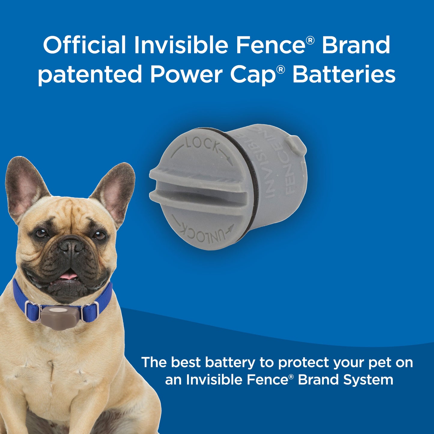 Power Cap® Battery (Single)