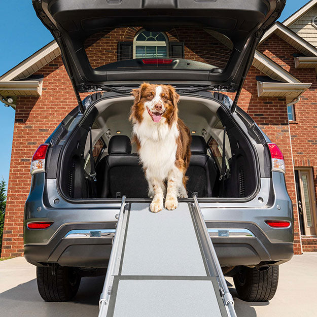 Happy Ride™ Telescoping Dog Ramp