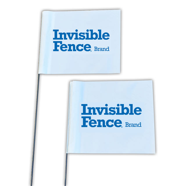 Two Invisible Fence Brand training flags